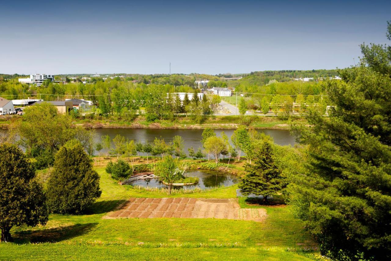 Hebergement "La Maison En Bois Rond" Sainte-Marie Buitenkant foto
